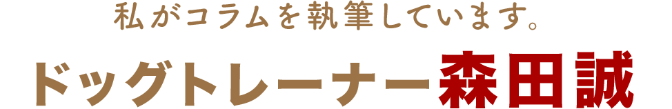 ドッグトレーナー森田誠