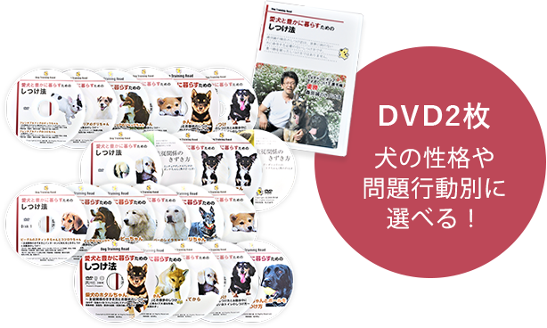 DVD2枚 犬の性格や問題行動別に選べる！